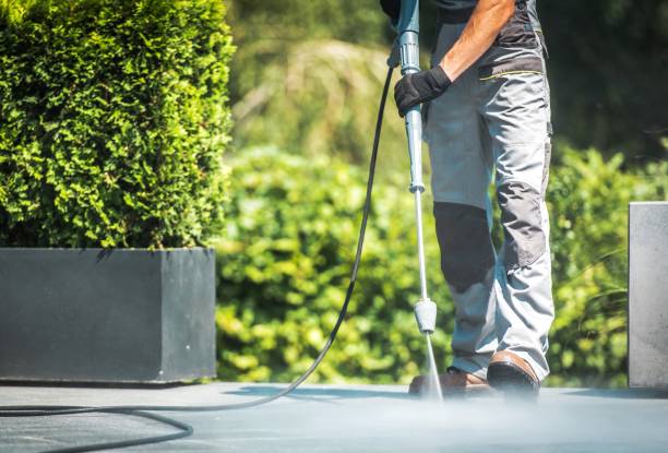 Best Driveway Pressure Washing  in , NY