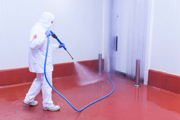 Best Paint Preparation  in , NY