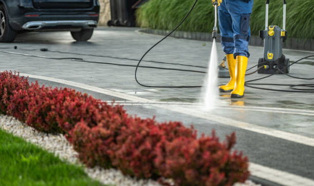 Best Building Exterior Washing  in , NY